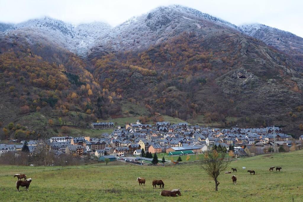 Mcastet, Casita Aranesa En El Valle De Aran Bossòst Exteriör bild