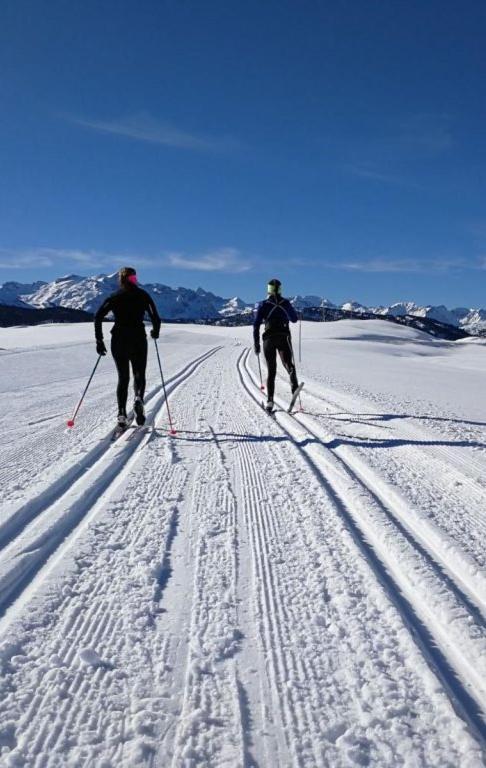 Mcastet, Casita Aranesa En El Valle De Aran Bossòst Exteriör bild